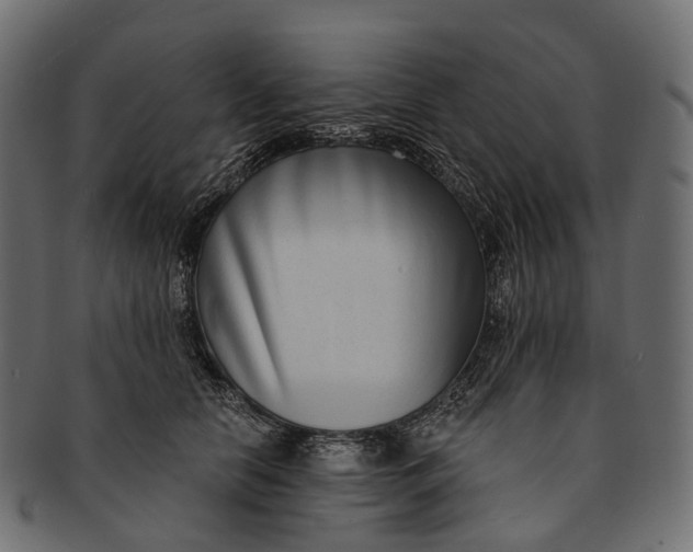 X0000091560658200709071128