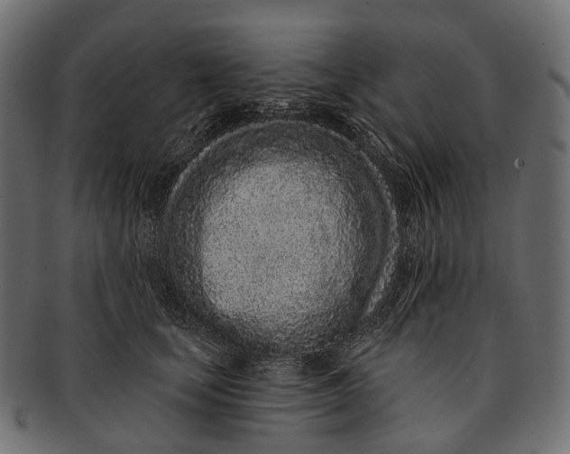 X0000091560659200709071128