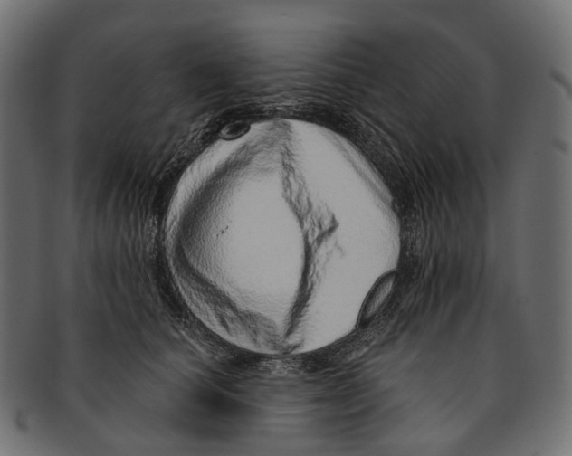 X0000091560660200709071128