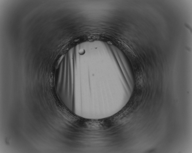 X0000091560661200709071128