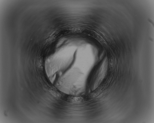 X0000091560663200709071128