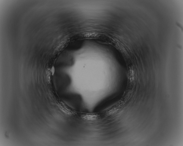 X0000091560664200709071128