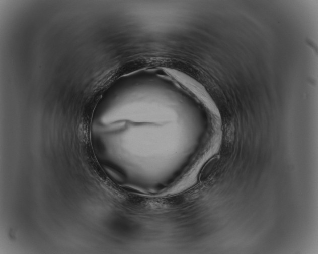 X0000091560666200709071128