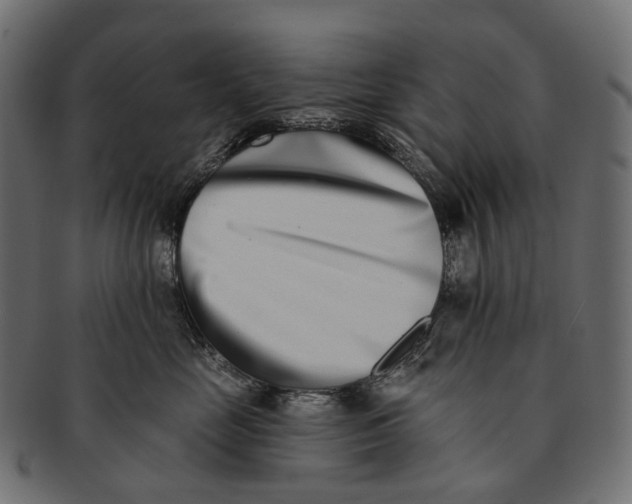 X0000091560669200709071128