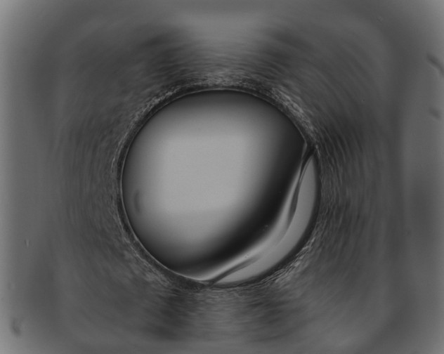 X0000091560673200709071127