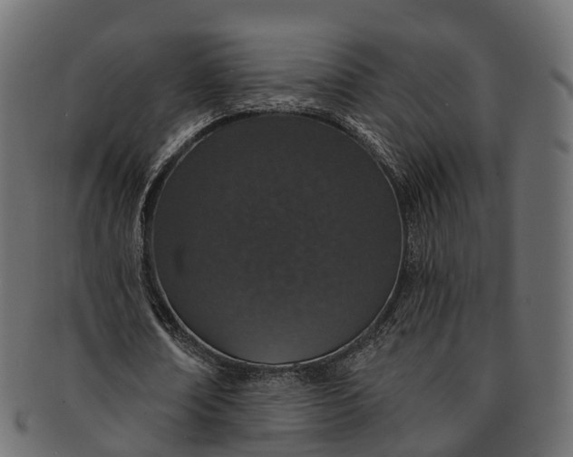 X0000091560674200709071127