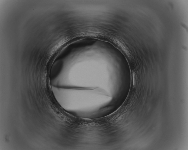 X0000091560675200709071127