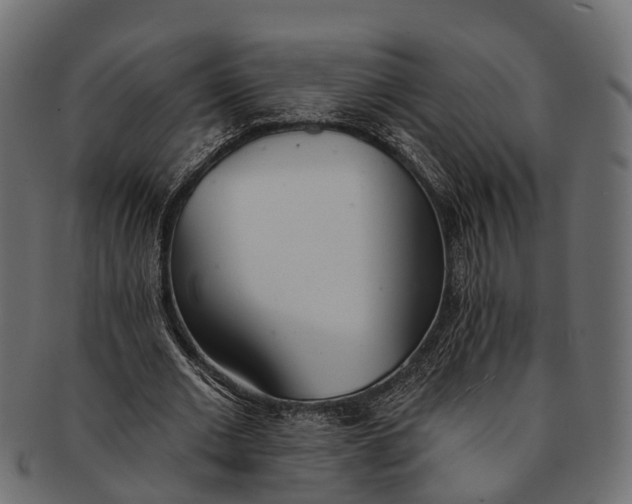 X0000091560677200709071127