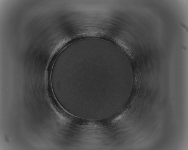 X0000091560678200709071127