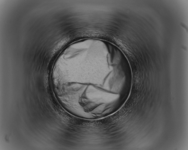 X0000091560679200709071127