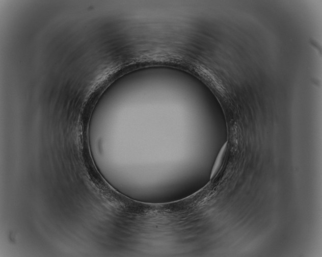 X0000091560680200709071127