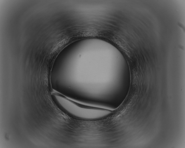 X0000091560681200709071127