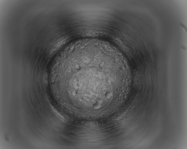 X0000091560683200709071127