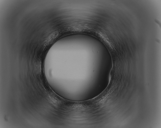 X0000091560685200709071127