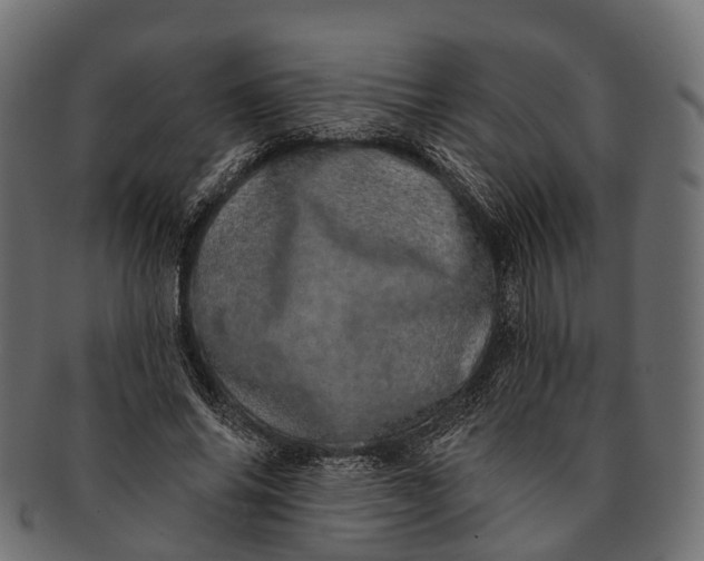 X0000091560686200709071127