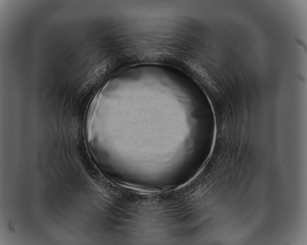 X0000091560687200709071127