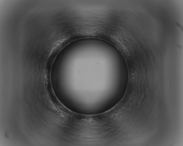 X0000091560688200709071127