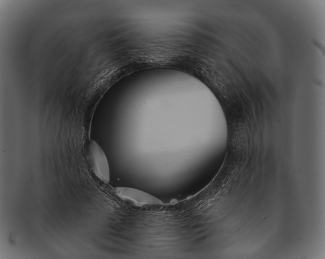 X0000091560689200709071127