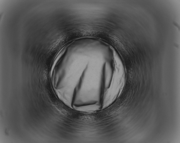 X0000091560691200709071127