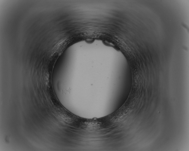 X0000091560693200709071127