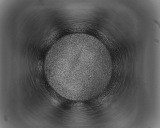 X0000091560695200709071127