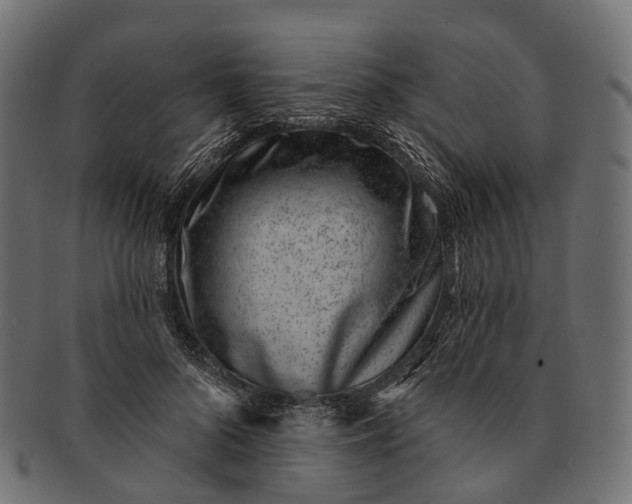 X0000091560696200709071127