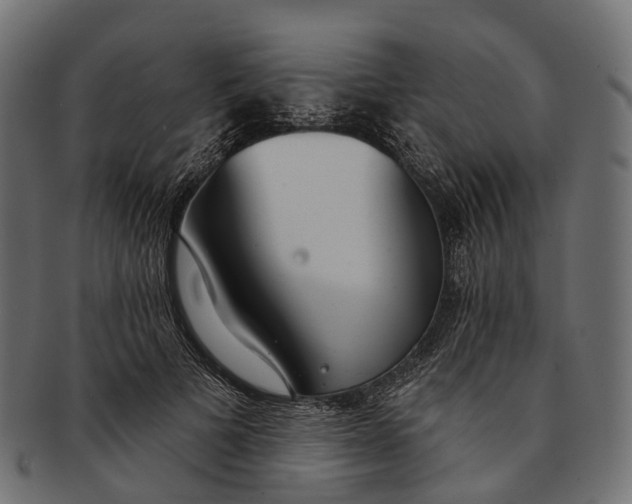 X0000091560697200709071127