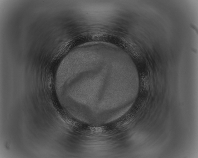 X0000091560698200709071127