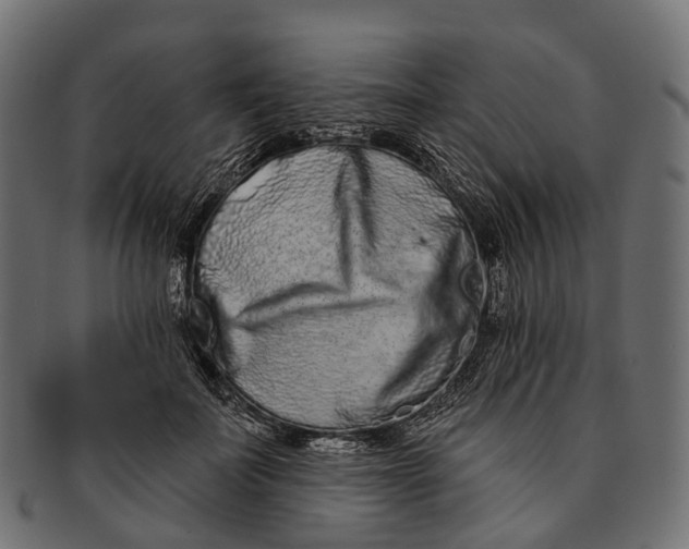 X0000091560699200709071127