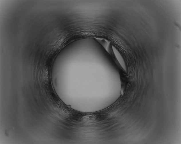 X0000091560700200709071127