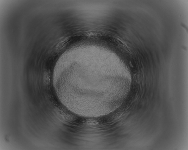 X0000091560702200709071127