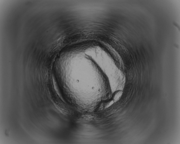 X0000091560703200709071127