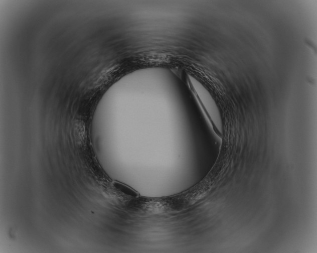 X0000091560704200709071127