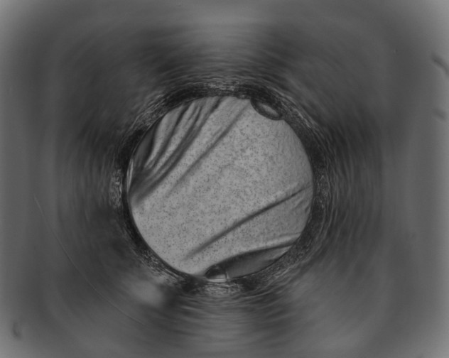 X0000091560707200709071127