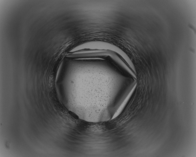 X0000091560708200709071127