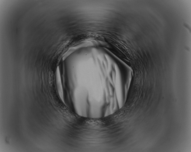 X0000091560712200709071127