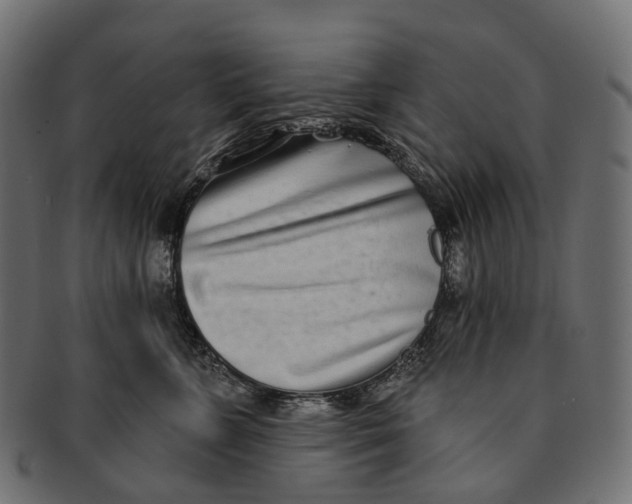 X0000091560715200709071127