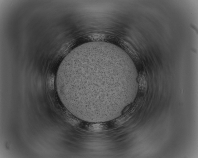 X0000091560717200709071127