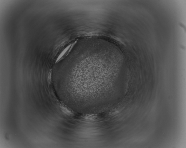 X0000091560720200709071127