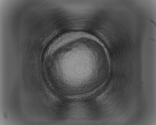 X0000091560721200709071126