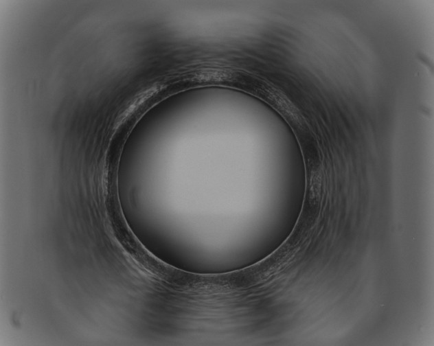 X0000091560722200709071126