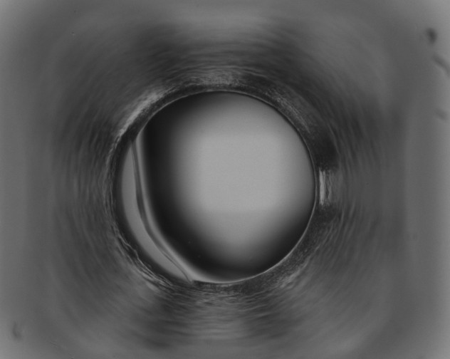 X0000091560723200709071126