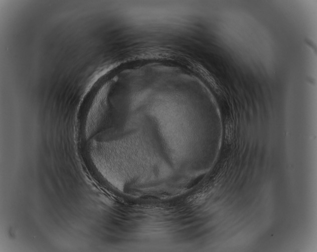 X0000091560724200709071126