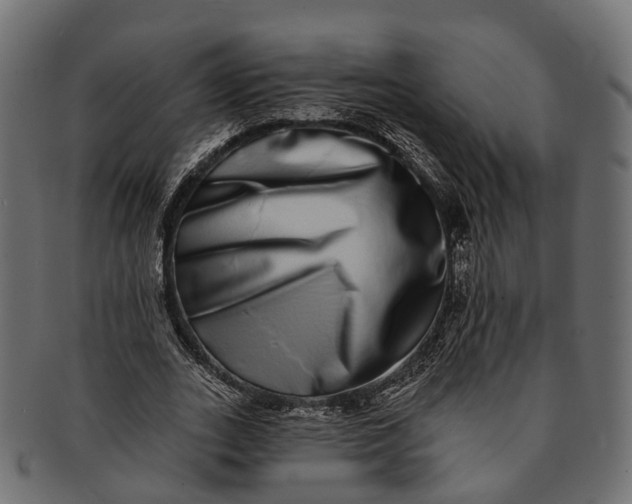 X0000091560727200709071126