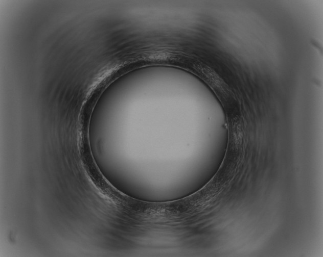 X0000091560728200709071126