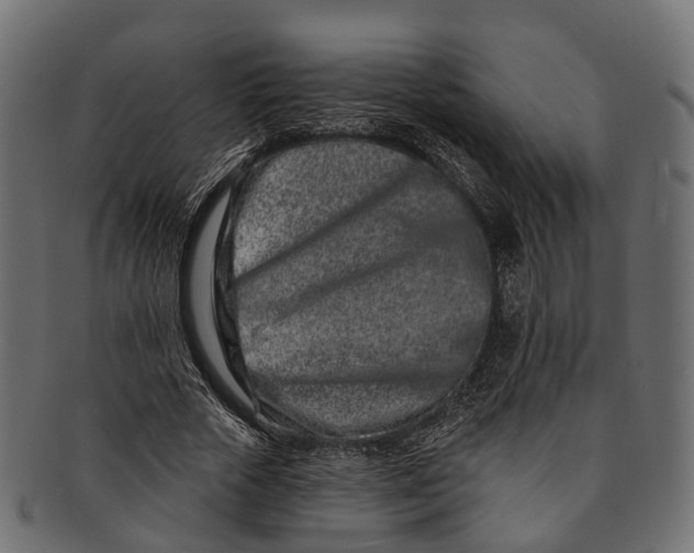 X0000091560729200709071126