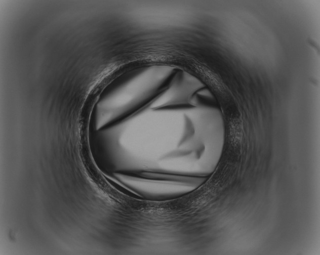 X0000091560730200709071126