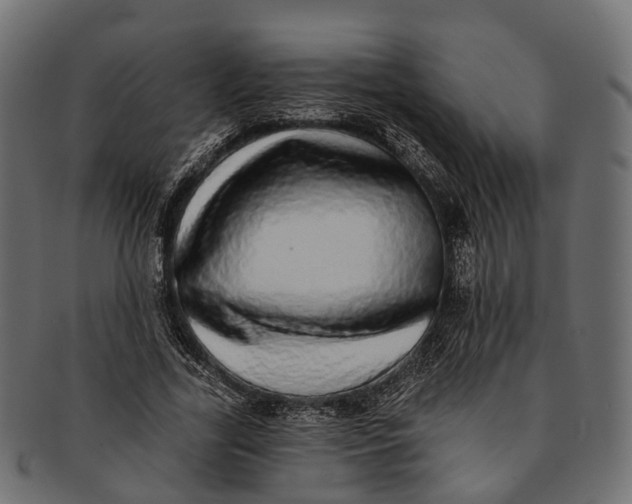 X0000091560731200709071126