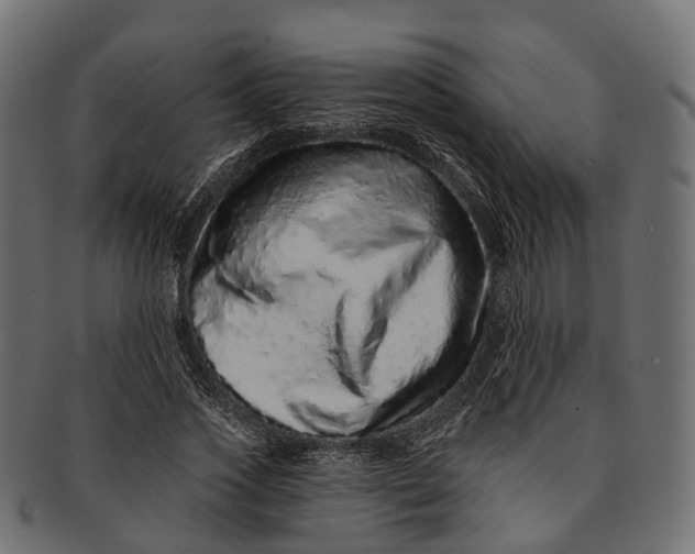 X0000091560733200709071126