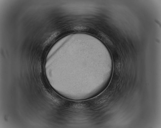 X0000091560734200709071126